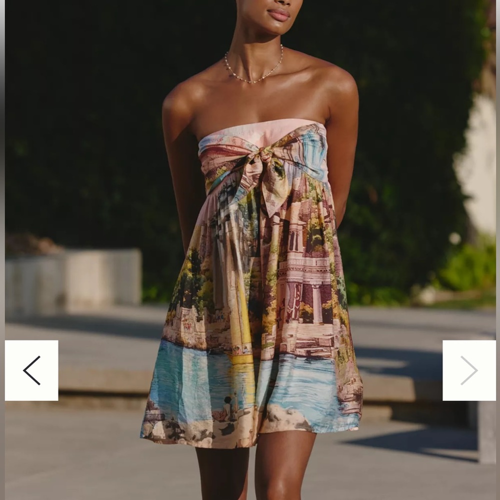 NWT Celandine Strapless Bow-Front Mini Dress SZ Large